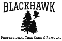 Blackhawk Tree Services