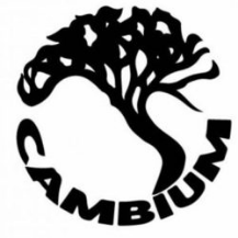 Cambium Tree Care Specialists