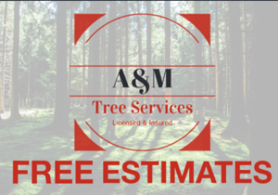 Tree Service A&M Tree Services, LLC in Fairfield OH