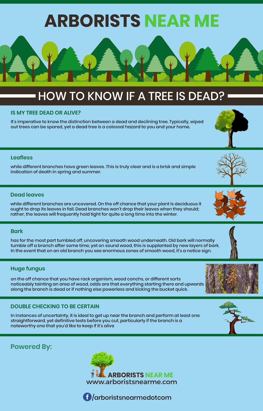 DISCOVER - How to know if a tree is dead