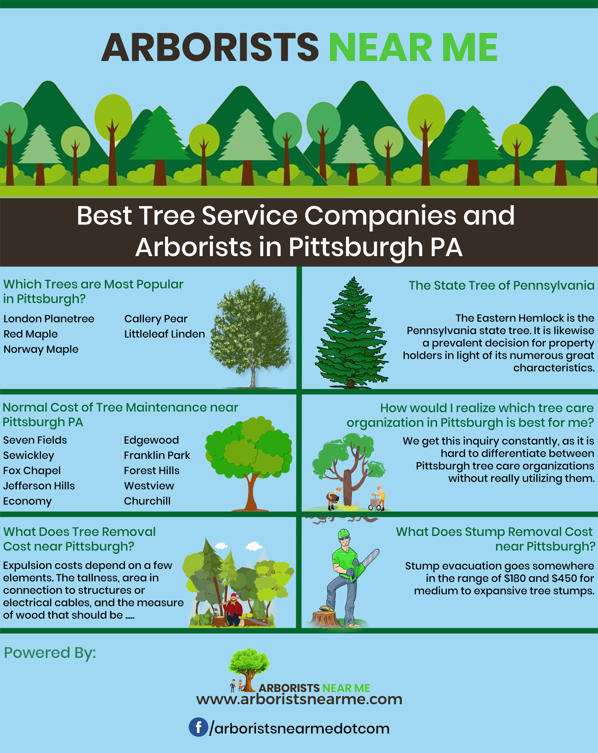 Scarborough Tree Services Tree Trimming