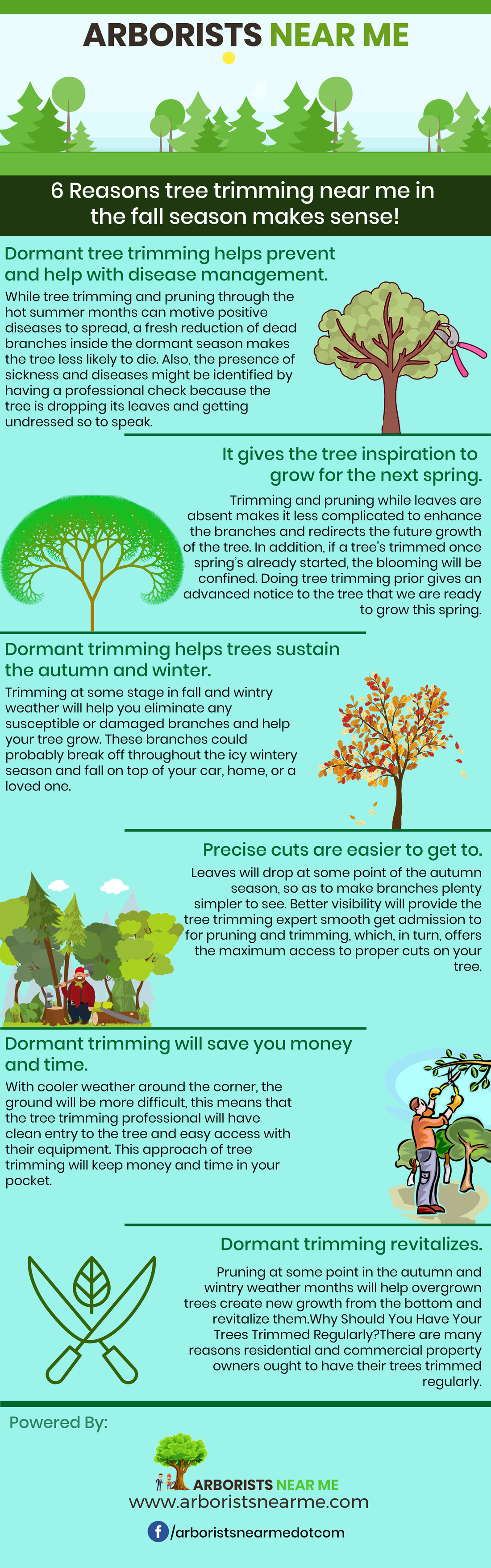 6 Reasons why tree trimming in the fall makes sense! (WHY FALL?)