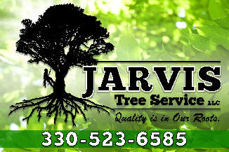 Tree Service Jarvis Tree Service LLC in Hartville OH