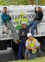 Tree Service Heartwood Tree Service & Solutions in San Antonio TX