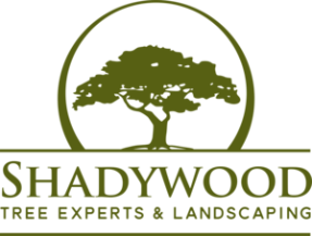 Shadywood Tree Experts & Landscaping