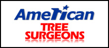 Tree Service American Tree Surgeons in Middleburg FL