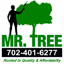 Mr. Tree