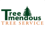 Treemendous Tree