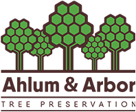 Tree Service Ahlum & Arbor Tree in Columbus OH