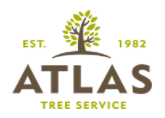 Tree Service Atlas Tree Service in Spring Valley CA