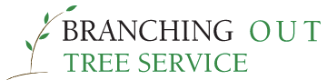 Tree Service Branching Out Tree Service in Tucson AZ