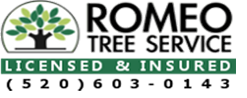 Tree Service Romeo Tree Service, LLC in Tucson AZ