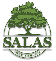 Salas Tree Service LLC