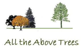 Tree Service All The Above Trees in Colorado Springs CO