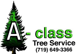 Tree Service A-Class Tree Service in Colorado Springs CO