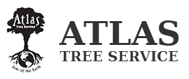 Tree Service Atlas Tree Service in Salt Lake City UT