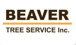 Tree Service Beaver Tree Service in Beaverton OR