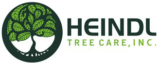 Tree Service Heindl Tree Care Inc. in Spokane WA