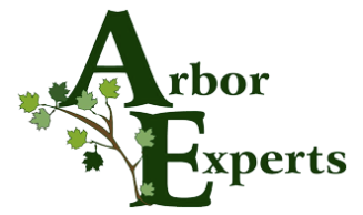 Tree Service Arbor Experts in Dayton OH