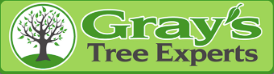 Grays Tree Experts