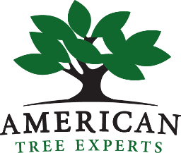 American Tree Experts, Inc.