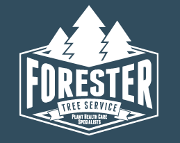 Tree Service Forester Tree Service in Milwaukee WI