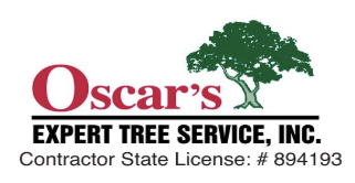 Tree Service Oscar's Expert Tree Service in San Jose CA