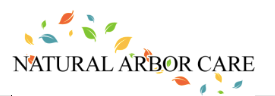 Tree Service Natural Arbor Care in San Jose CA