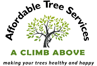 A Climb Above Tree Service