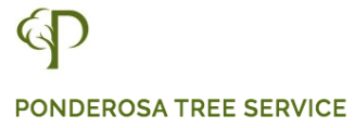 Tree Service Ponderosa Tree Service in Berkeley CA