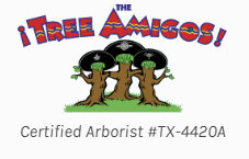 Tree Service The Tree amigos in Corpus Christi TX