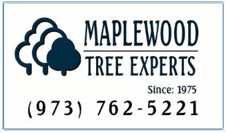 Tree Service Maplewood Tree Experts in Maplewood NJ