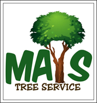 Tree Service Mays Tree Service in Buffalo NY