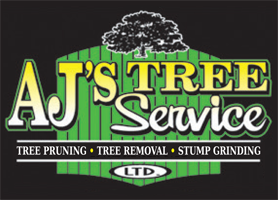 Tree Service AJ's Tree Service in East Amherst NY