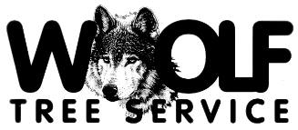 Tree Service Woolf Tree Service in Eagle ID