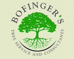 Tree Service Bofinger’s Tree Service in Baton Rouge LA