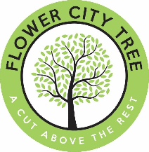 Tree Service Flower City Tree in Rochester NY