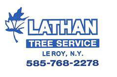 Tree Service Lathan Tree Service in Le Roy NY