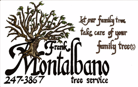 Tree Service Montalbano Tree Service, LLC in Rochester NY