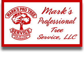 Tree Service Mark's Professional Tree Service in Grand Rapids MI