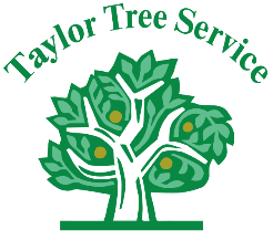 Taylor Tree Service