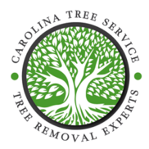 Carolina Tree Service
