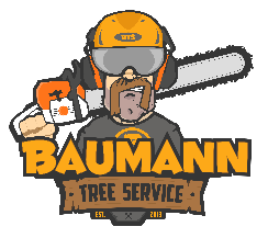 Tree Service Baumann Tree Service in Powell TN