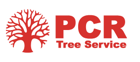 Tree Service PCR Tree Service in Chattanooga TN