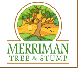 Tree Service Merriman Tree and Stump, LLC in Cincinnati OH