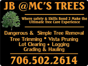 Tree Service JB @Mc’s Trees in Fairmount  GA