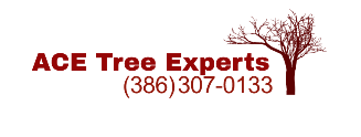 Tree Service ACE Tree Experts LLC.  in Port Orange FL
