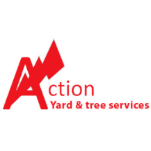 Action Yard and Tree Service Tucson AZ | Landscaping Company