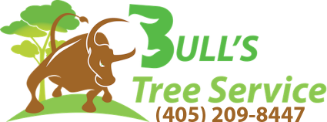 Bulls Tree Service