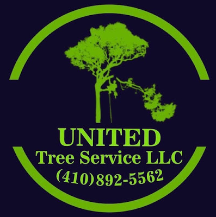United Tree Service LLC